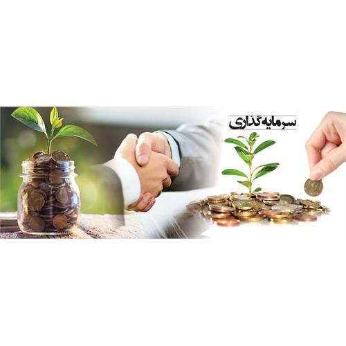 سرمایه گذاری